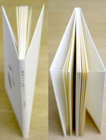白井明大『着雪する小葉となって』 私家特装版